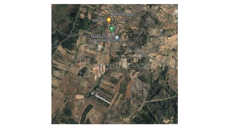 Terreno Agricola ou Rústico para Venda em Ninho do Açor e Sobral do Campo Foto 2