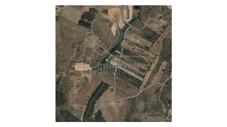 Terreno Agricola ou Rústico para Venda em Ninho do Açor e Sobral do Campo