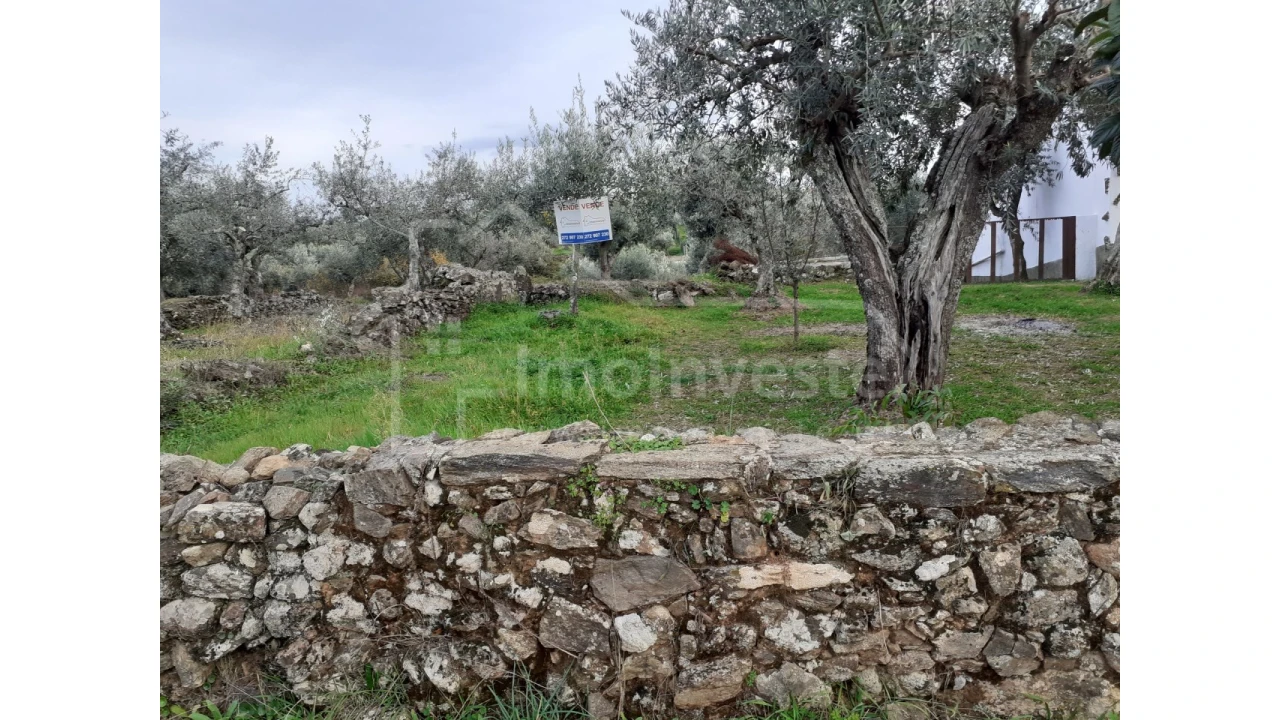 Terreno Agricola ou Rústico para Venda em Ninho do Açor e Sobral do Campo Foto 1