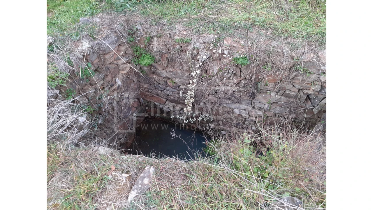 Terreno Agricola ou Rústico para Venda em Ninho do Açor e Sobral do Campo Foto 4