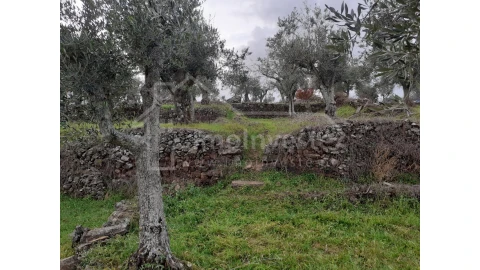 Terreno Agricola ou Rústico para Venda em Ninho do Açor e Sobral do Campo