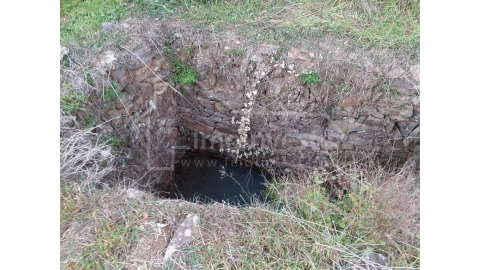 Terreno Agricola ou Rústico para Venda em Ninho do Açor e Sobral do Campo