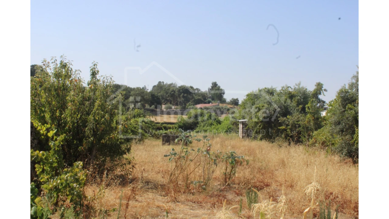 Terreno Agricola ou Rústico para Venda em Alcains Foto 1