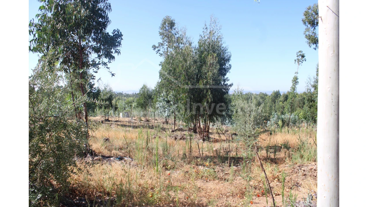 Terreno Agricola ou Rústico para Venda em Alcains Foto 3