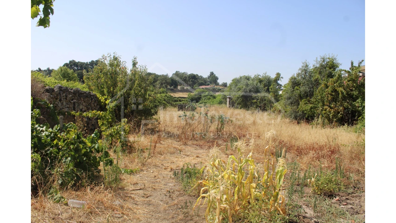 Terreno Agricola ou Rústico para Venda em Alcains Foto 5