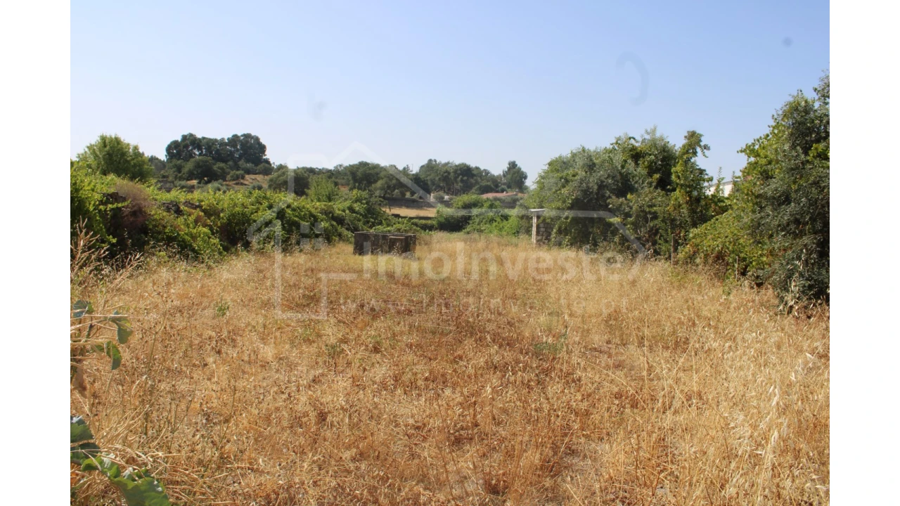 Terreno Agricola ou Rústico para Venda em Alcains Foto 7