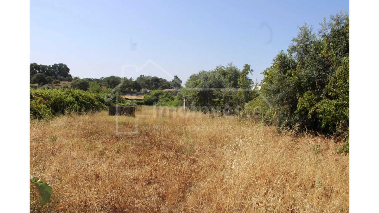 Terreno Agricola ou Rústico para Venda em Alcains Foto 8