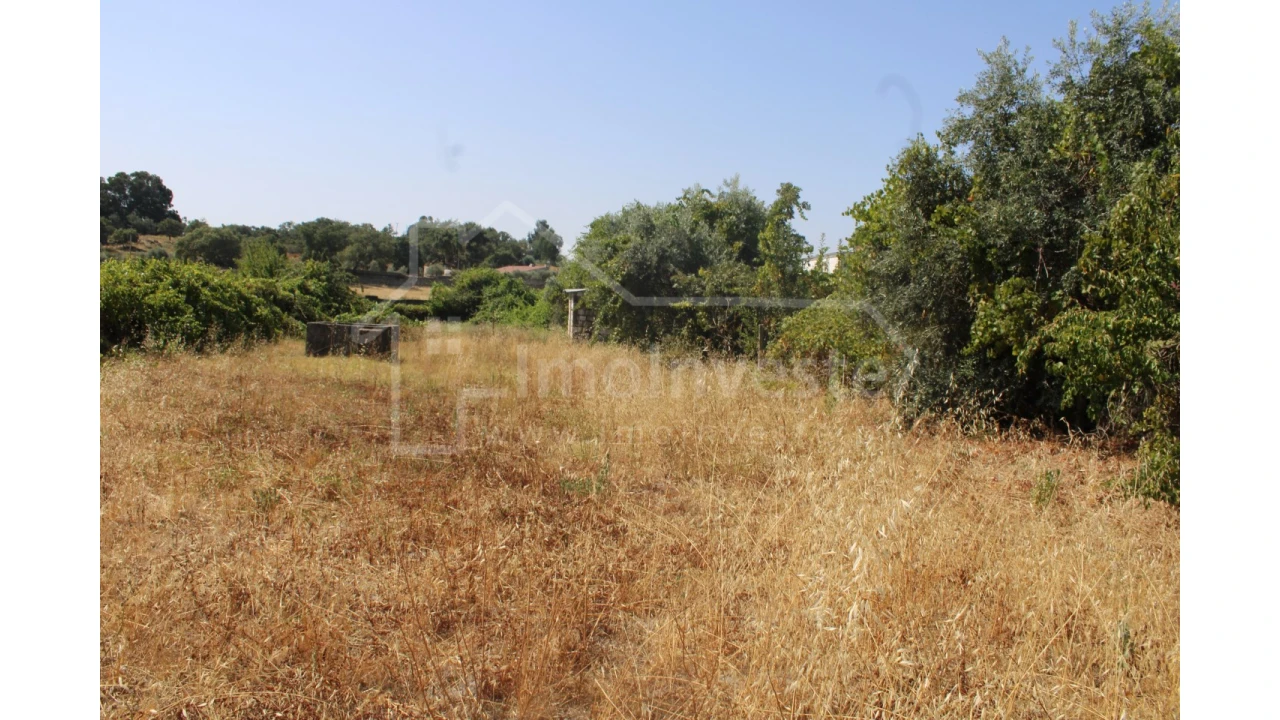 Terreno Agricola ou Rústico para Venda em Alcains Foto 9