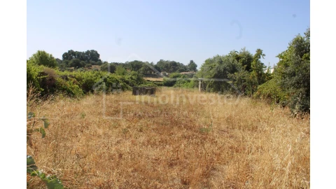 Terreno Agricola ou Rústico para Venda em Alcains