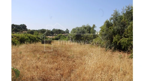 Terreno Agricola ou Rústico para Venda em Alcains