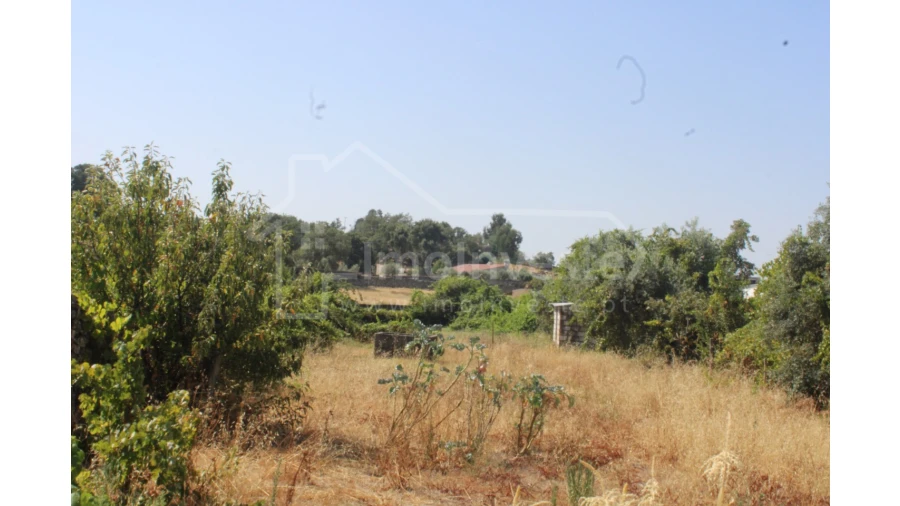 Terreno Agricola ou Rústico para Venda em Alcains Foto 2