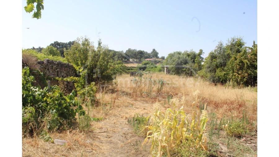Terreno Agricola ou Rústico para Venda em Alcains Foto 4