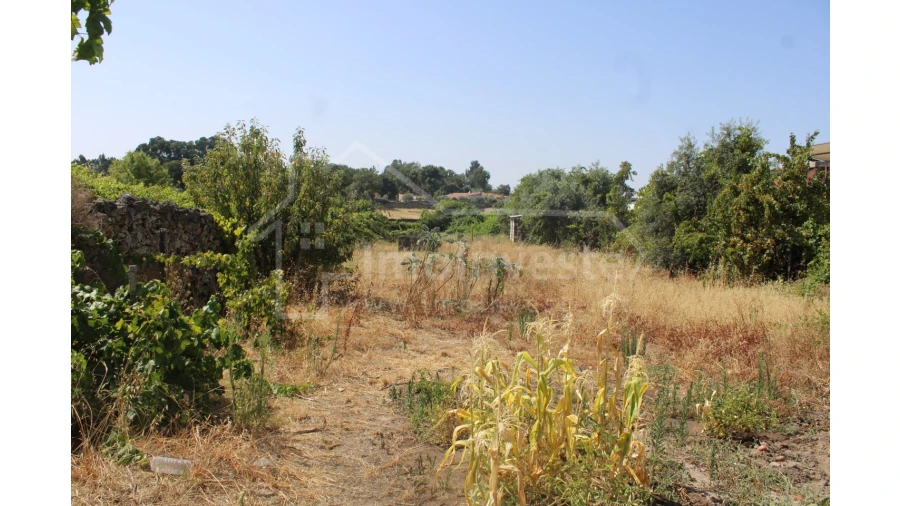 Terreno Agricola ou Rústico para Venda em Alcains Foto 6