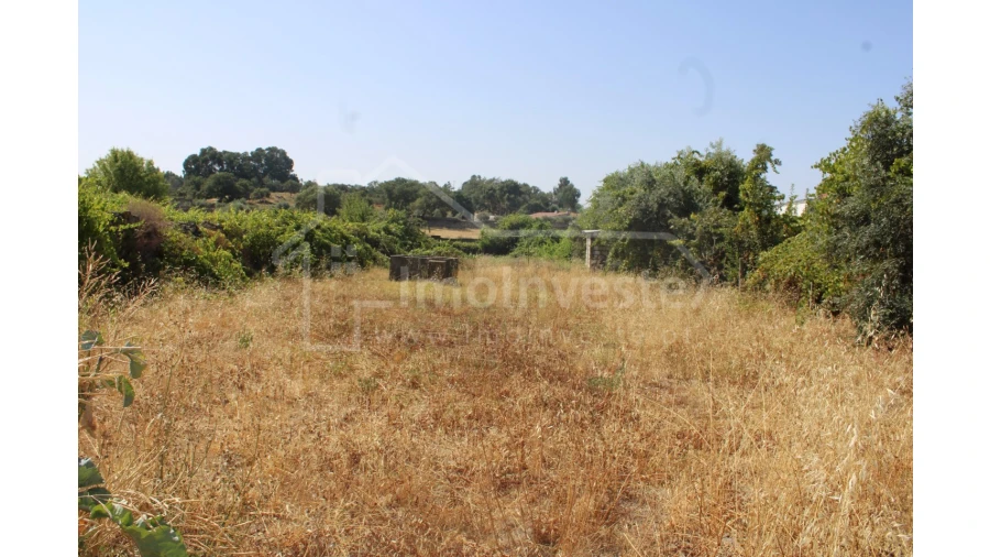 Terreno Agricola ou Rústico para Venda em Alcains Foto 7