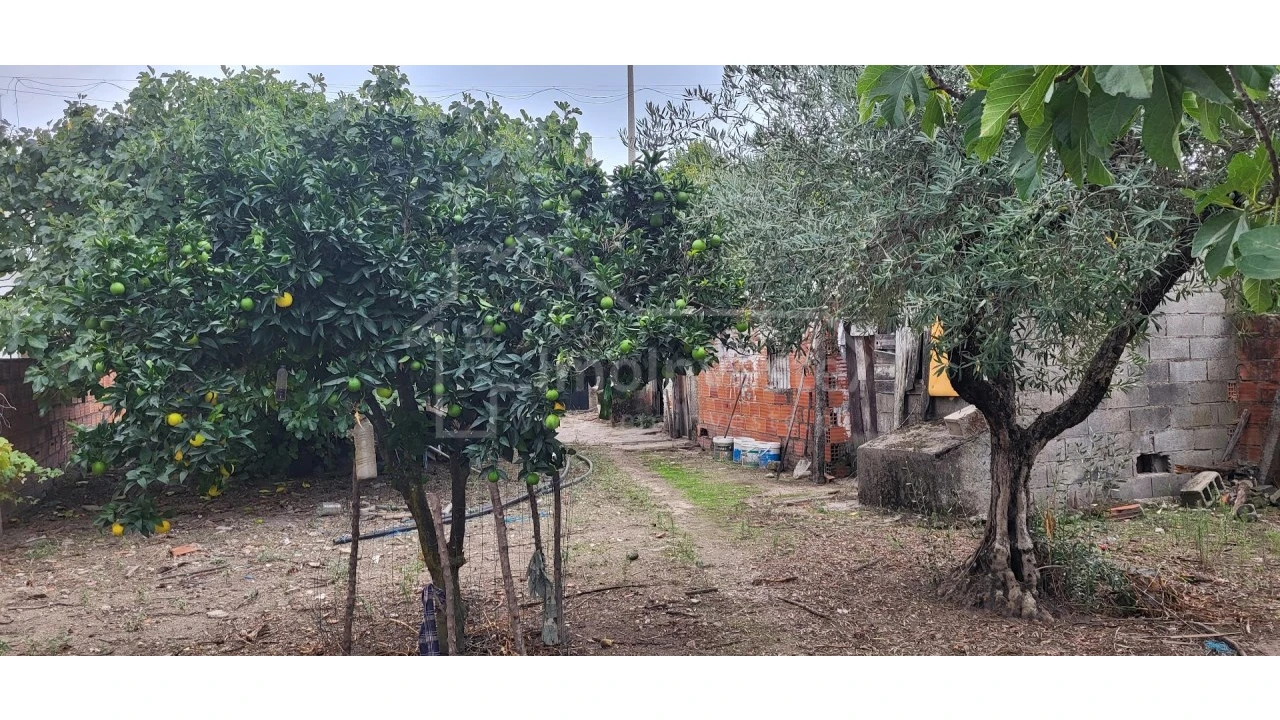Terreno para Venda em Alcains Foto 4