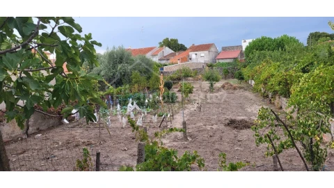 Terreno para Venda em Alcains