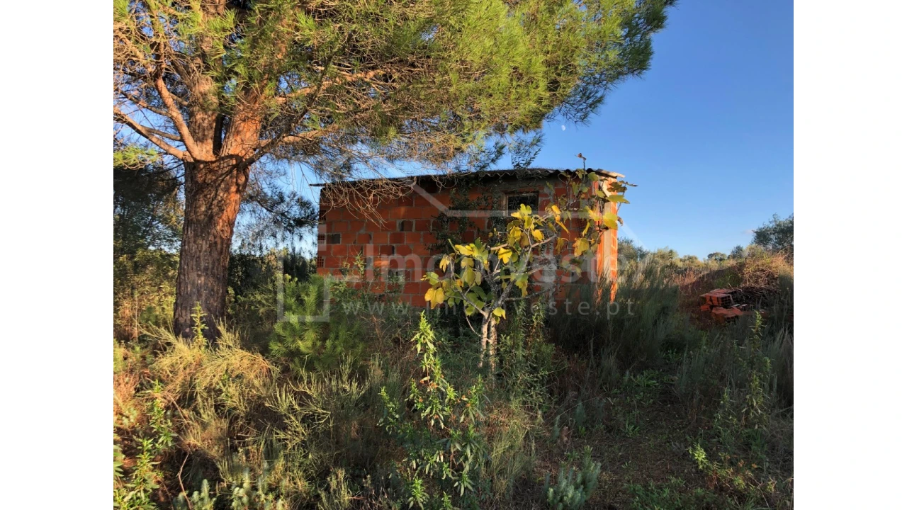 Terreno Agricola ou Rústico para Venda em Ninho do Açor e Sobral do Campo Foto 1