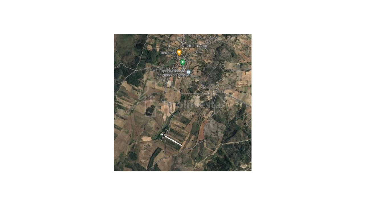 Terreno Agricola ou Rústico para Venda em Ninho do Açor e Sobral do Campo Foto 6