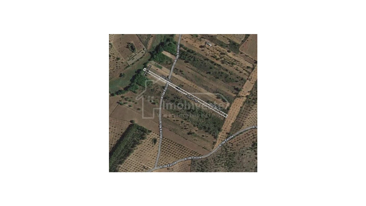 Terreno Agricola ou Rústico para Venda em Ninho do Açor e Sobral do Campo Foto 5