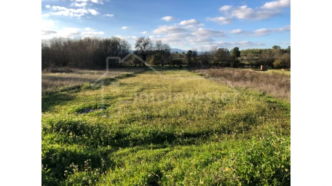 Terreno Agricola ou Rústico para Venda em Ninho do Açor e Sobral do Campo