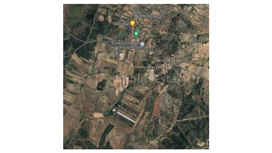 Terreno Agricola ou Rústico para Venda em Ninho do Açor e Sobral do Campo Foto 6