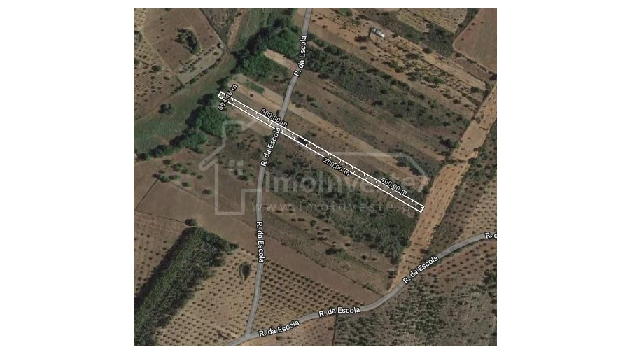 Terreno Agricola ou Rústico para Venda em Ninho do Açor e Sobral do Campo Foto 5