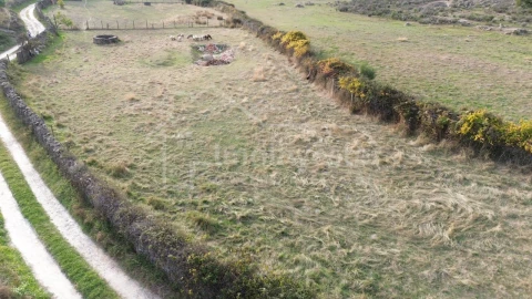 Terreno Agricola ou Rústico para Venda em Alcains