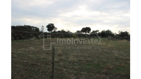 Terreno Agricola ou Rústico para Venda em Alcains