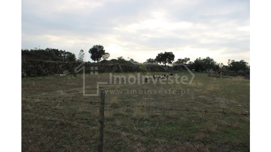 Terreno Agricola ou Rústico para Venda em Alcains Foto 3