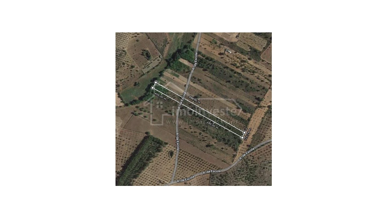 Terreno Agricola ou Rústico para Venda em Ninho do Açor e Sobral do Campo Foto 1