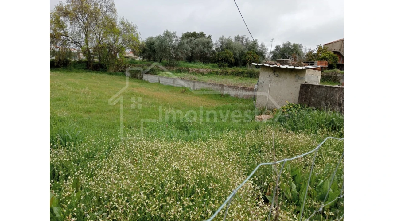 Terreno Agricola ou Rústico para Venda em Ninho do Açor e Sobral do Campo Foto 1