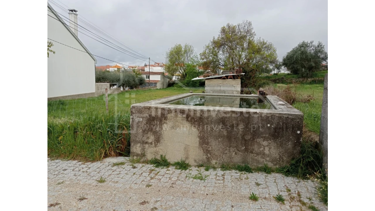 Terreno Agricola ou Rústico para Venda em Ninho do Açor e Sobral do Campo Foto 2