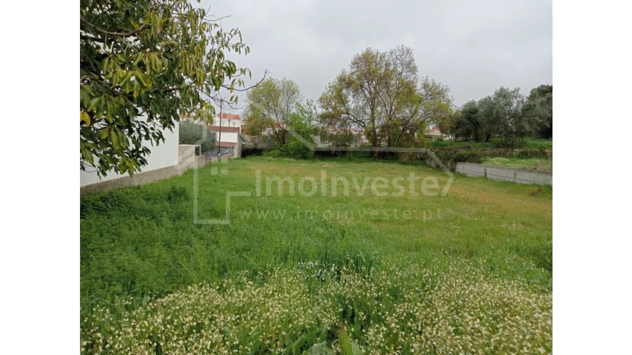 Terreno Agricola ou Rústico para Venda em Ninho do Açor e Sobral do Campo Foto 3