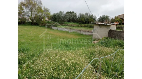 Terreno Agricola ou Rústico para Venda em Ninho do Açor e Sobral do Campo