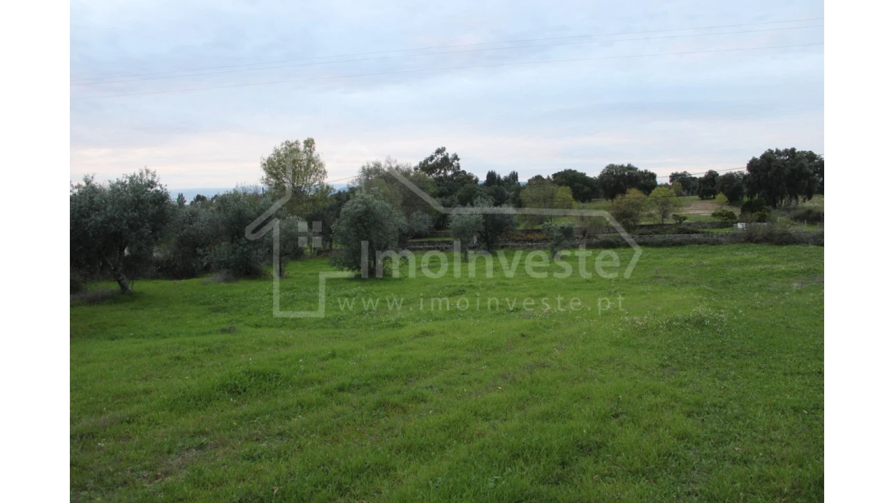 Terreno para Venda em São Miguel de Acha Foto 3