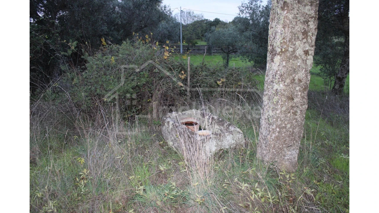 Terreno para Venda em São Miguel de Acha Foto 4