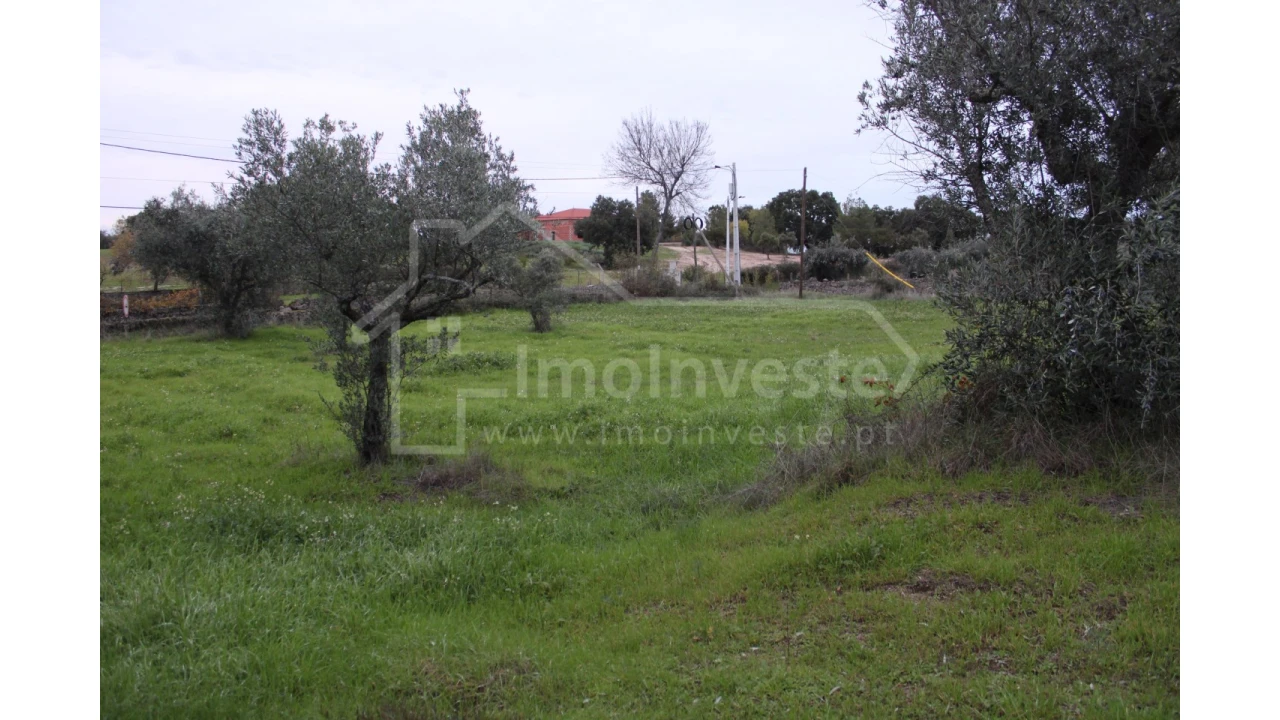 Terreno para Venda em São Miguel de Acha Foto 5