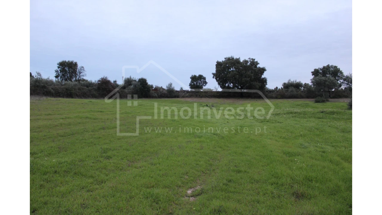 Terreno para Venda em São Miguel de Acha Foto 7
