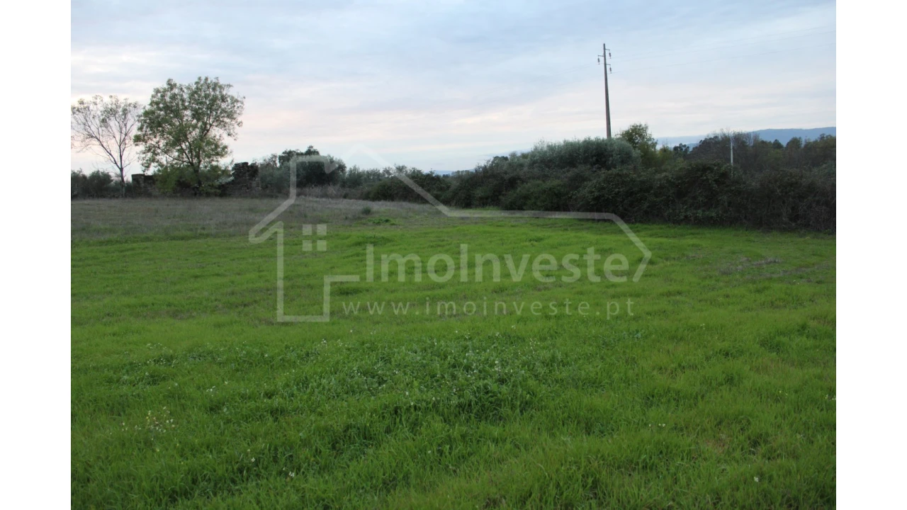 Terreno para Venda em São Miguel de Acha Foto 8