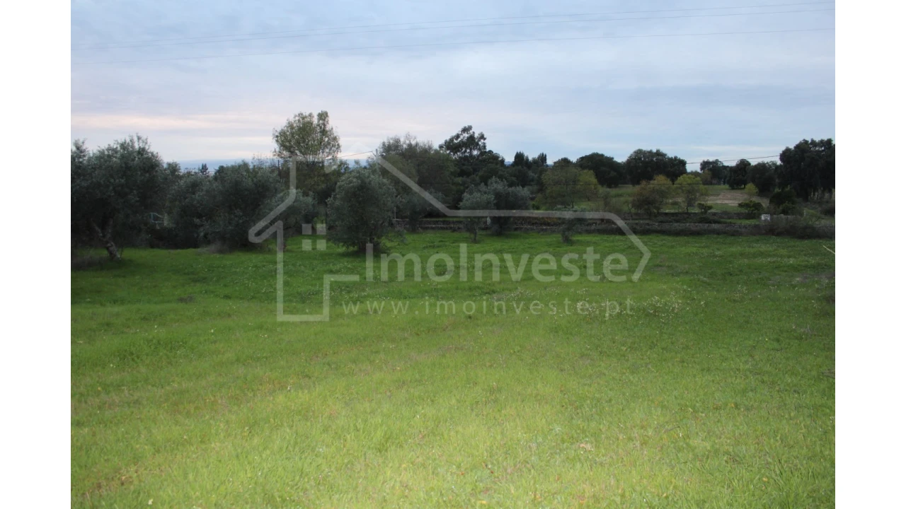 Terreno para Venda em São Miguel de Acha Foto 10