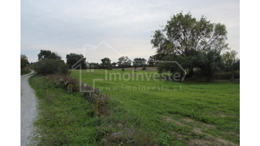 Terreno para Venda em São Miguel de Acha Foto 1