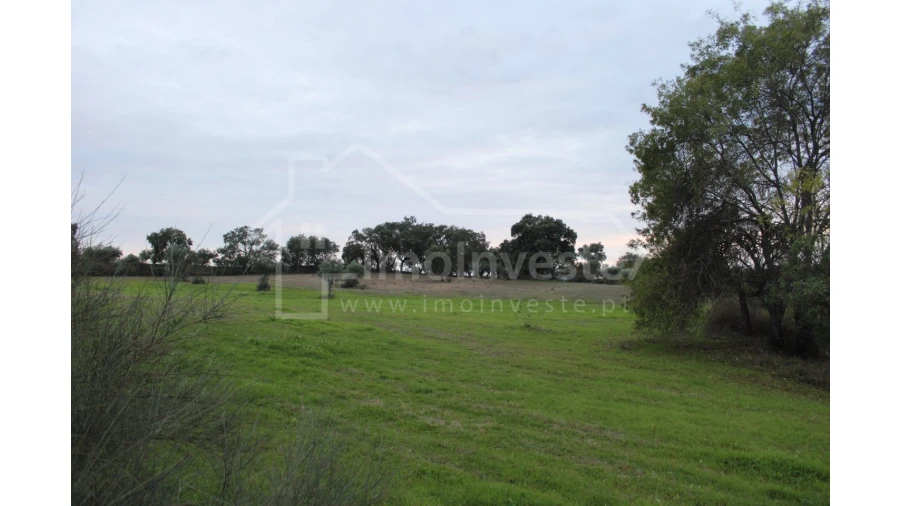 Terreno para Venda em São Miguel de Acha Foto 2