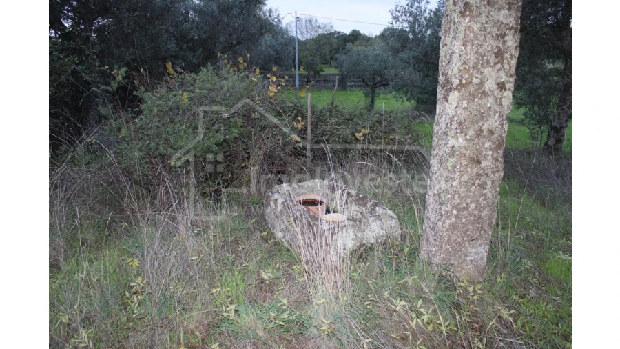 Terreno para Venda em São Miguel de Acha Foto 4