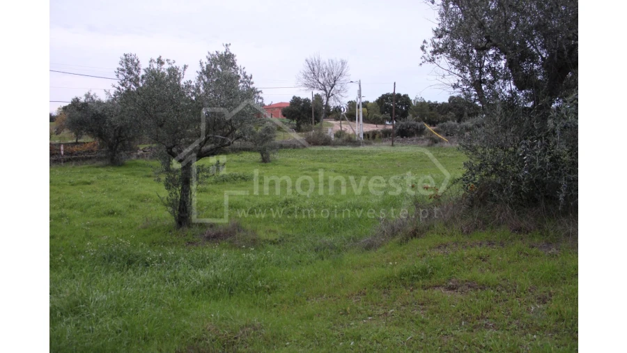 Terreno para Venda em São Miguel de Acha Foto 5