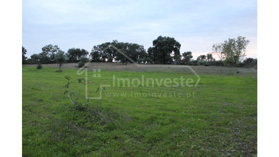 Terreno para Venda em São Miguel de Acha Foto 6