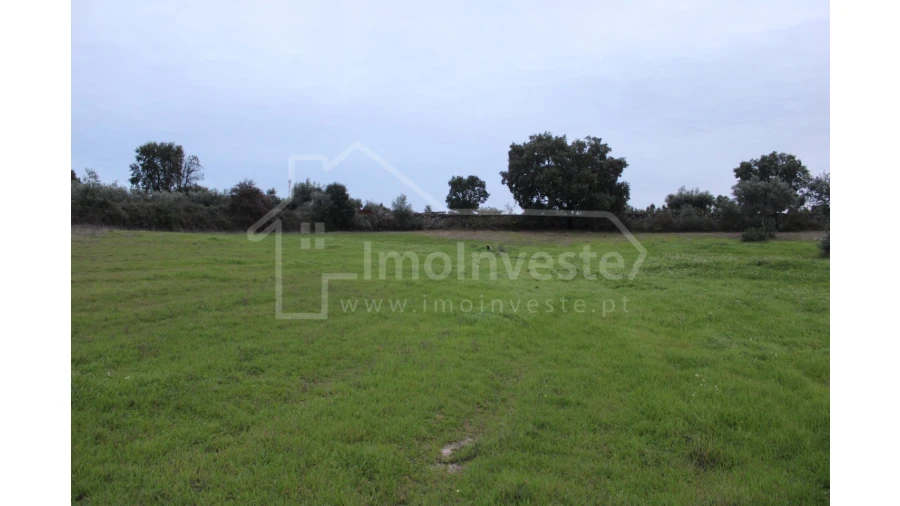 Terreno para Venda em São Miguel de Acha Foto 7