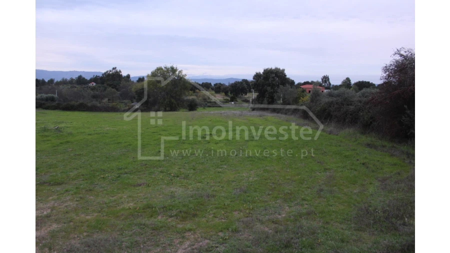 Terreno para Venda em São Miguel de Acha Foto 9