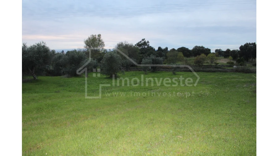 Terreno para Venda em São Miguel de Acha Foto 10
