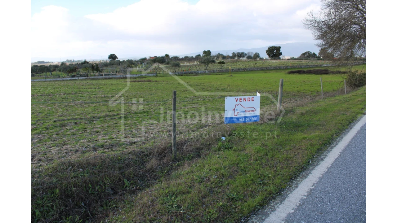 Terreno Agricola ou Rústico para Venda em Lardosa Foto 1