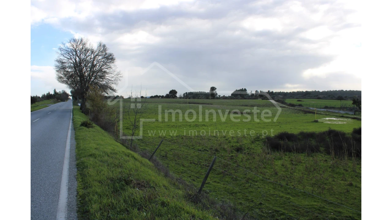 Terreno Agricola ou Rústico para Venda em Lardosa Foto 3
